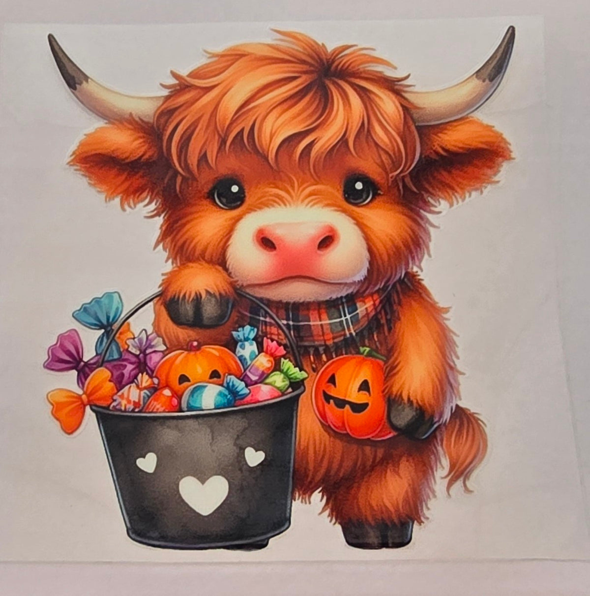 Hyland Trick or Treat