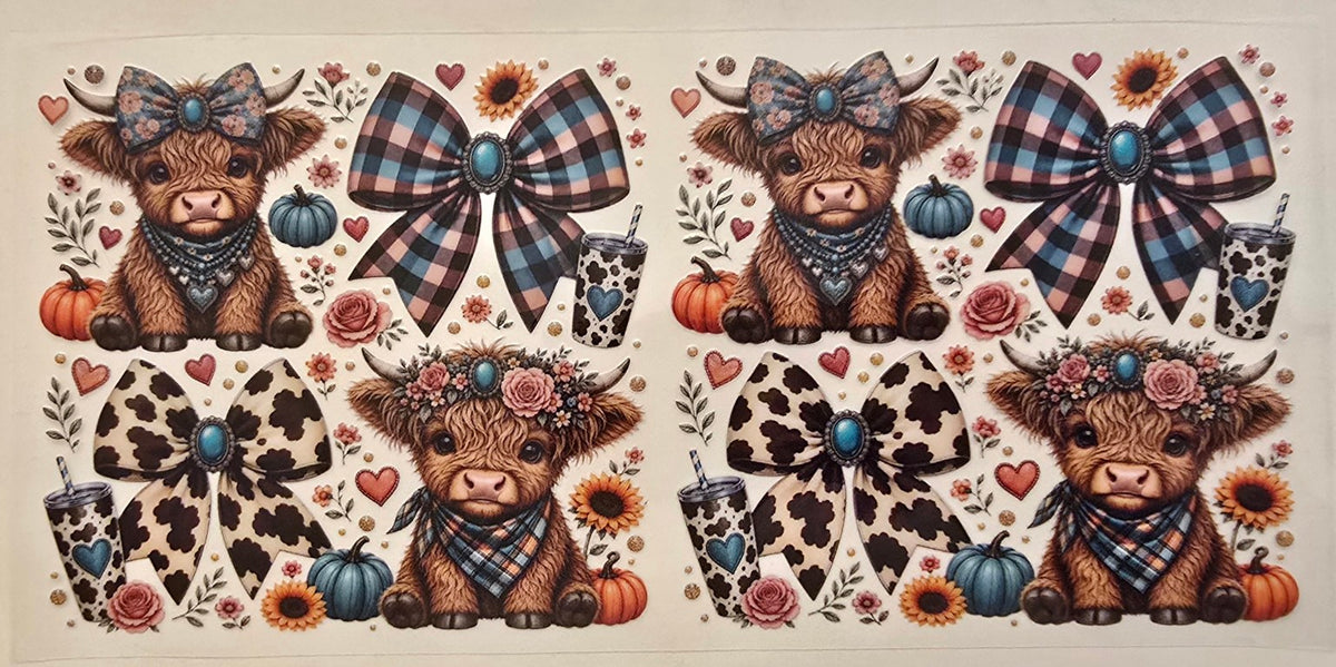 97 Highland Cow