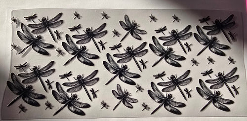Butterflies & Dragonflies 004