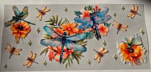 Butterflies & Dragonflies 009