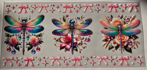 Butterflies & Dragonflies 008