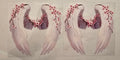 37 Angel Wings Wrap