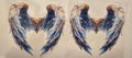 38 Angel Wings Wrap