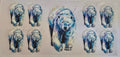 72 Polar Bear
