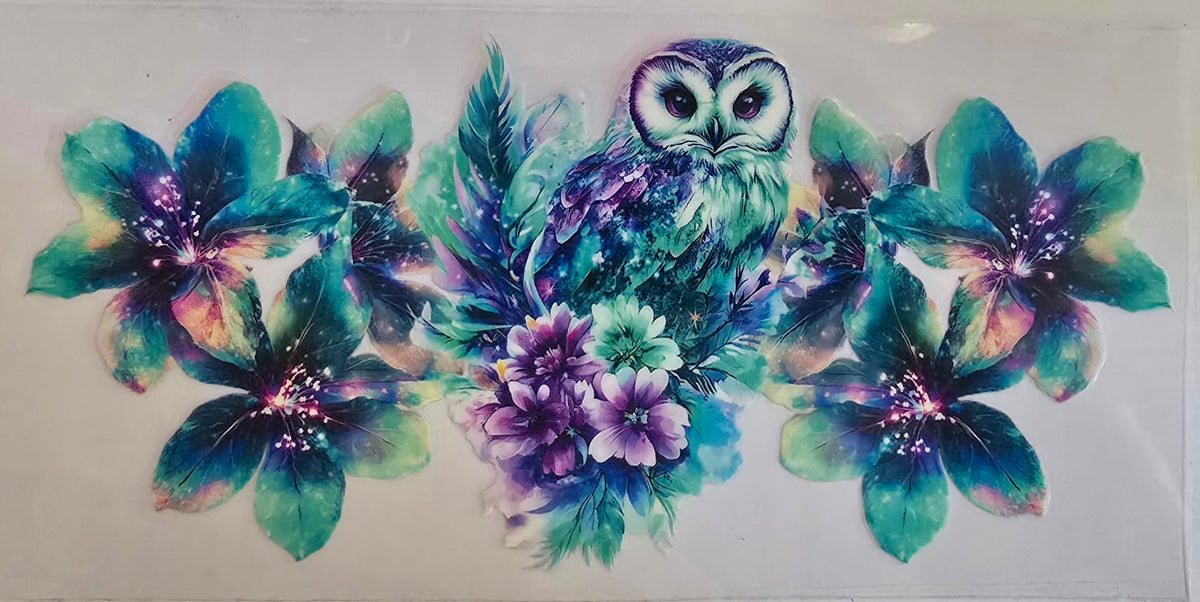 66 Owl 3