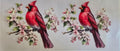 04 Cardinal