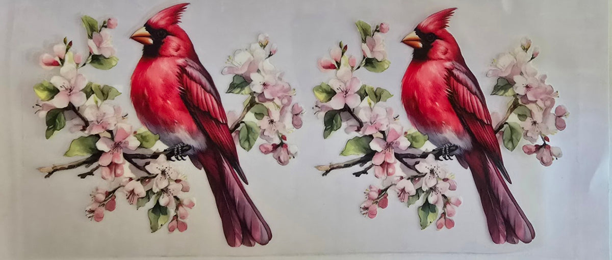 04 Cardinal