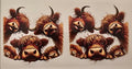Highland Cow Funny Faces Collage Wrap