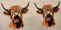 Highland Cow Surprised Pair Wrap