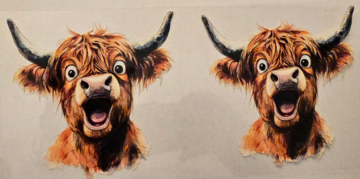 Highland Cow Surprised Pair Wrap