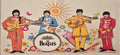 The Beatles Colorful Band Music Wrap